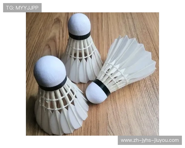 羽毛球买购