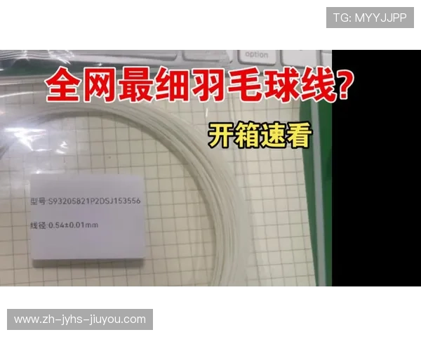 羽毛球拉球到底线