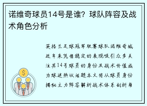 诺维奇球员14号是谁？球队阵容及战术角色分析