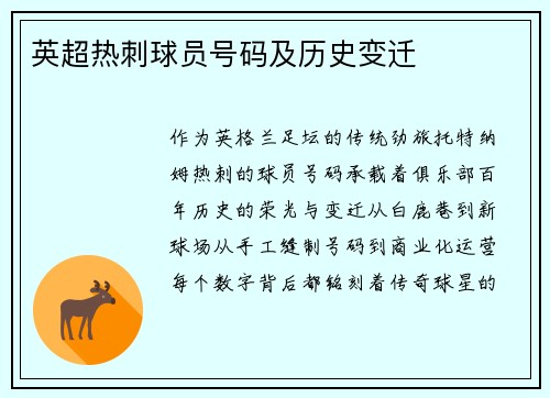 英超热刺球员号码及历史变迁